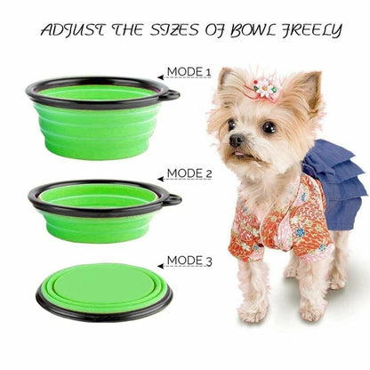 Collapsible Dog Bowls