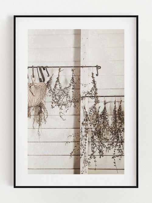 Hanging Branches Poster
