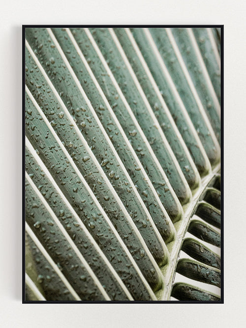 Plant Upclose Poster