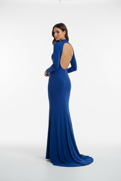 Long Sleeve maxi dress